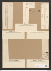 Nitzschia vermicularis (Kuetz.) Hantzsch. (de-Toni-Nr.: Genus 47, Species 2094) Zeichnungen Sammlung Grunow Nr. 4166 (NHMW-BOT-W0372055)